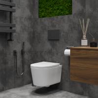 Подвесной унитаз RoxenBath Simple Compact 530120-01 Rimless Soft Close