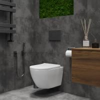 Подвесной унитаз RoxenBath Antares Tornado 530205-01 Rimless Soft Close