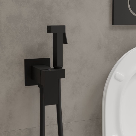 Смеситель встраиваемый RoxenBath Caspia 500960-B с гигиеническим душем