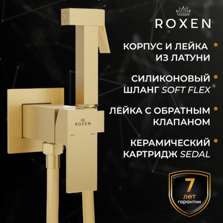 Гигиенический душ с лейкой RoxenBath Caspia 50096000-GB