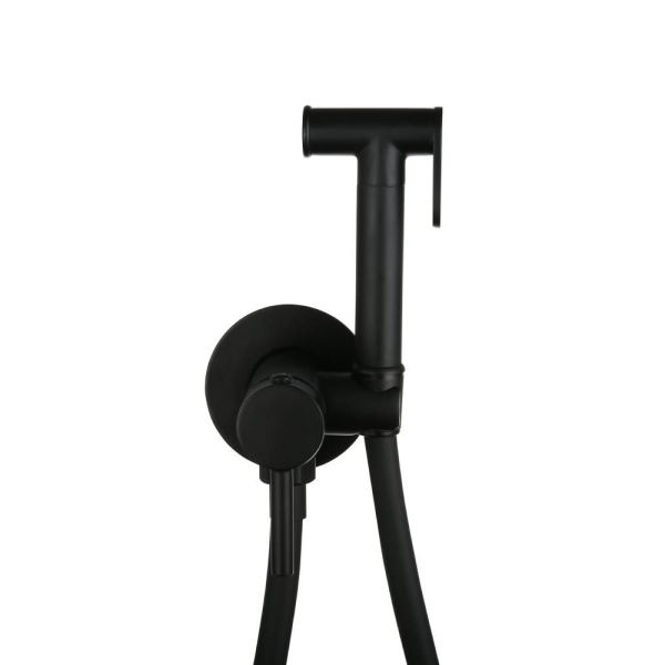 Смеситель встраиваемый RoxenBath Santi 500940-B с гигиеническим душем