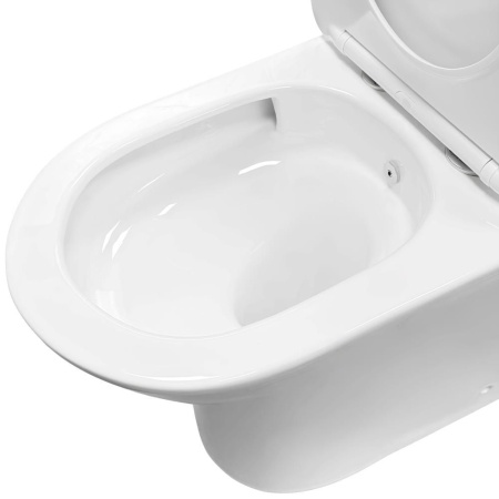 Напольный унитаз RoxenBath Urban Tornado Bidet 600190-01X Rimless Soft Close с функцией биде