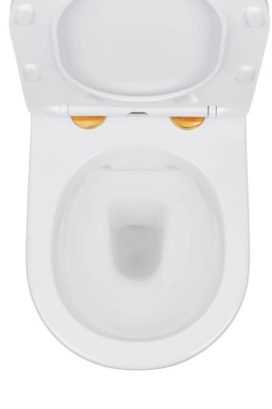 Комплект 6 в 1 RoxenBath StounFix Dual Fresh 807054 (состоит из: 710200, Santi 410280W, 530110-01G)