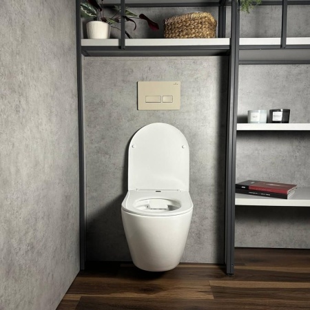 Кнопка для инсталляции RoxenBath Caspia 410280BG