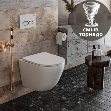Подвесной унитаз RoxenBath Antares Tornado 530205-01 Rimless Soft Close