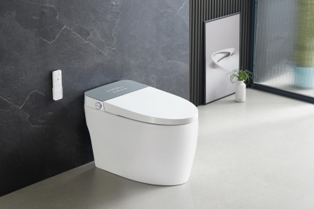 Приставной унитаз RoxenBath Smart Turbo 670300-02